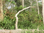 48463CIMG4800.JPG