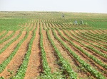 55276CIMG1329.JPG