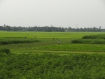 21931DSC00182.JPG