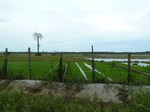 55073Berau (392).JPG
