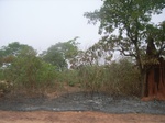 3980RIMG0284.JPG