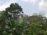 49435CIMG5772.JPG