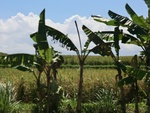 30240CIMG1774.JPG