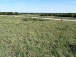 26332P1010444.JPG