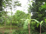 16156IMG_4914.JPG