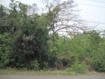 28167IMG_5027.JPG