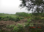 33051CIMG2285.JPG