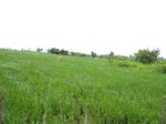 14342IMG_4683.JPG