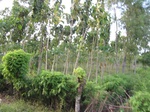 14406IMG_4750.JPG