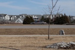 10164Field Survey 1 048.JPG