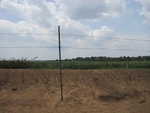32161IMG_0712.JPG