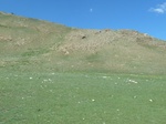24223P1050662.JPG