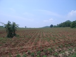 28266RIMG0266.JPG