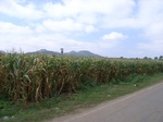 21412RIMG0031.JPG