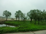 52103CIMG0064.JPG