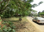 50878CIMG0578.JPG