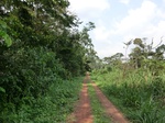 46539CIMG0828.JPG