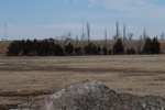 10113Field Survey 1 002.JPG