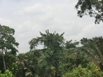 49460CIMG5797.JPG