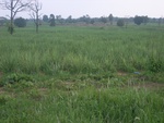 34621RIMG0088.JPG