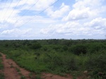 1177323-panoromic-view.jpg