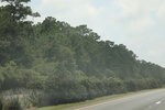 2023-06-20_21-06-18_CCC0C22A-D76D-4C49-B956-22F23D2FA0E3.jpeg