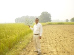 11416gt190-cropland-1.jpg