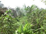 49050CIMG5387.JPG