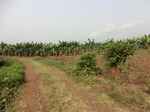 50429CIMG1058.JPG