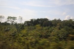 2024-10-10_16-55-55_1FAAE744-1673-4C4C-ABA7-D34EC2B1317F.jpeg