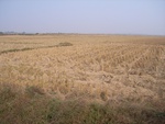 4668RIMG0097-1.JPG