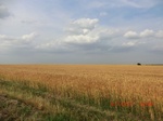 29493CIMG0798.JPG