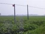 1239R0015069_small.jpg