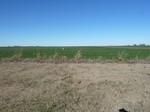 40346BRECGPS.JPG