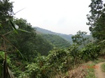 53655CIMG7029.JPG