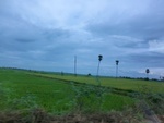 55980CIMG6659.JPG