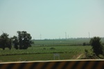 2024-08-05_14-06-56_D4719C3D-D254-4832-B6F8-358C9F8A7279.jpeg