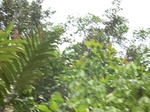48875CIMG5212.JPG