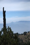 24498Colima 2008-2009 Part 2 053.jpg