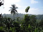 13969IMG_4265.JPG