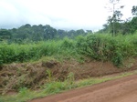 20539P1020396.JPG
