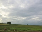 56065CIMG6754.JPG