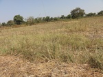 26616DSC00257.JPG