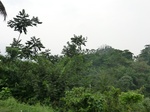 50707CIMG1336.JPG