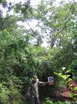 1173918-forest-remanant-degraded-iucnb.jpg