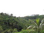 14702IMG_5084.JPG