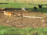 32057IMG_5688.JPG