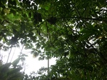 45581CIMG2666.JPG