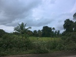 55822CIMG6456.JPG