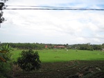 14603IMG_4974.JPG